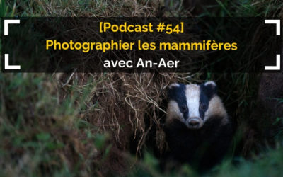 [Podcast #54] Photographier les mammifères avec Vincent Rannou